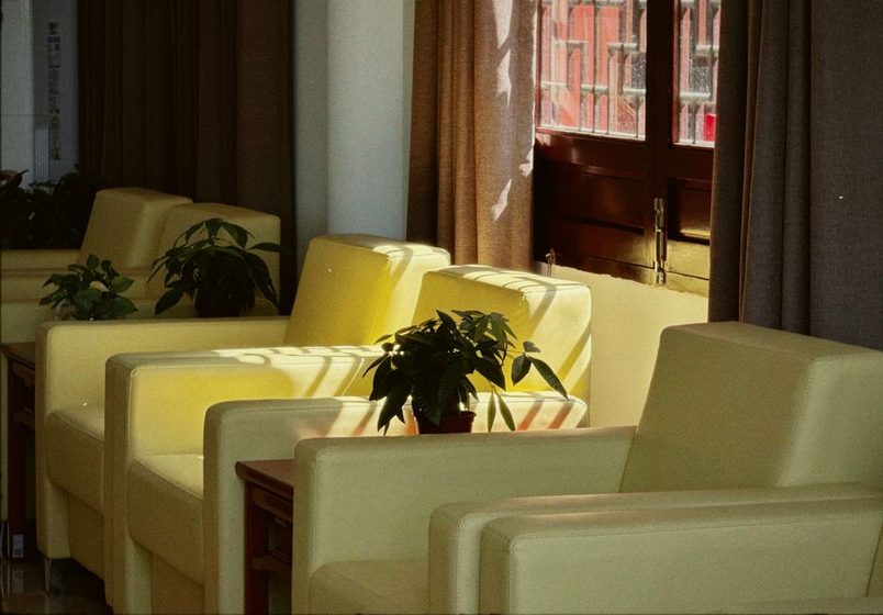 Warm morning light falling across a quiet kitchen table